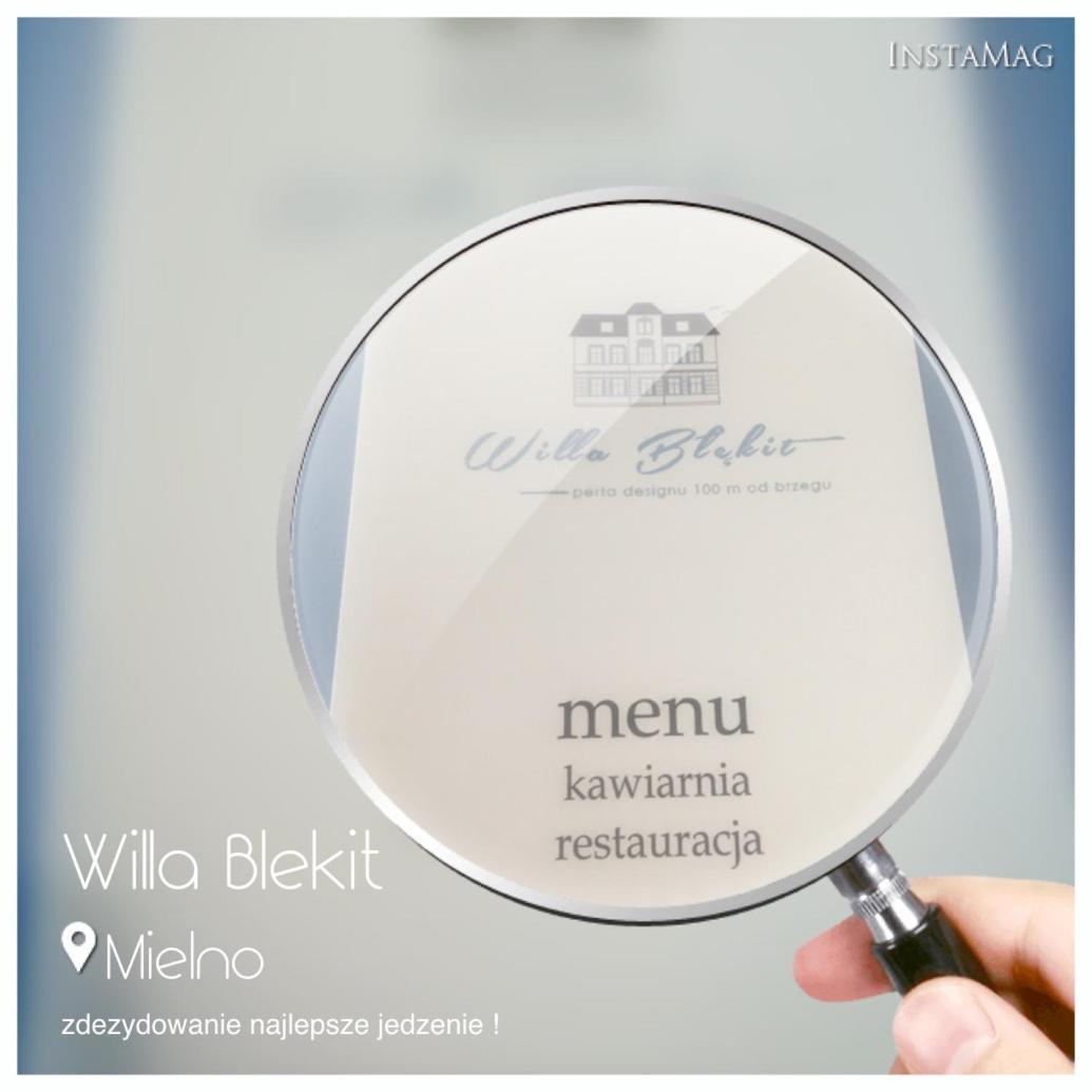 Willa Blekit Hotel By Dorota Szelagowska 미엘노 외부 사진